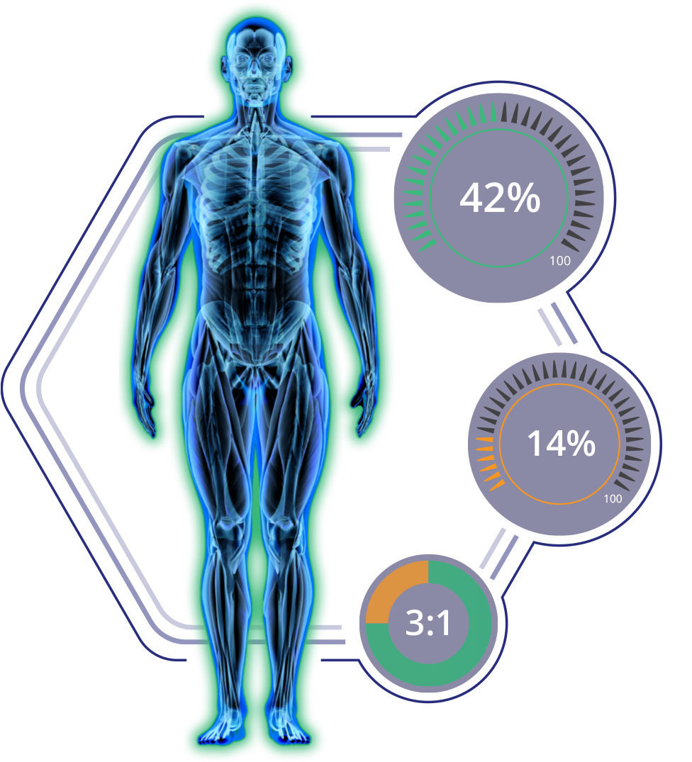 Muscle-Fat-Percentage & Ratio Muscle-Fat-Percentage & Ratio